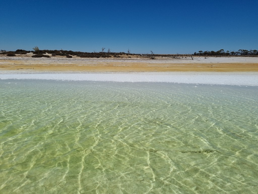 StamiLyte vs Sea Salt Electrolytes